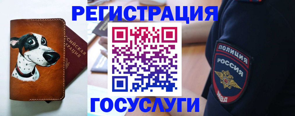 временная регистрация в квартире в Хабаровском крае